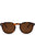 Tort Brown