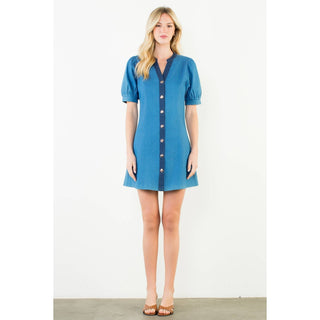 Cassidy Denim Mini Dress