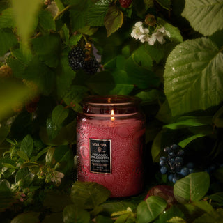 Foraged Wildberry Candle