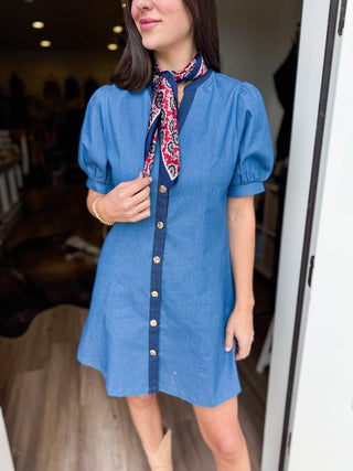 Cassidy Denim Mini Dress