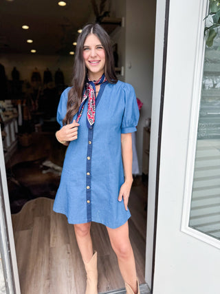 Cassidy Denim Mini Dress - Elk + Elm