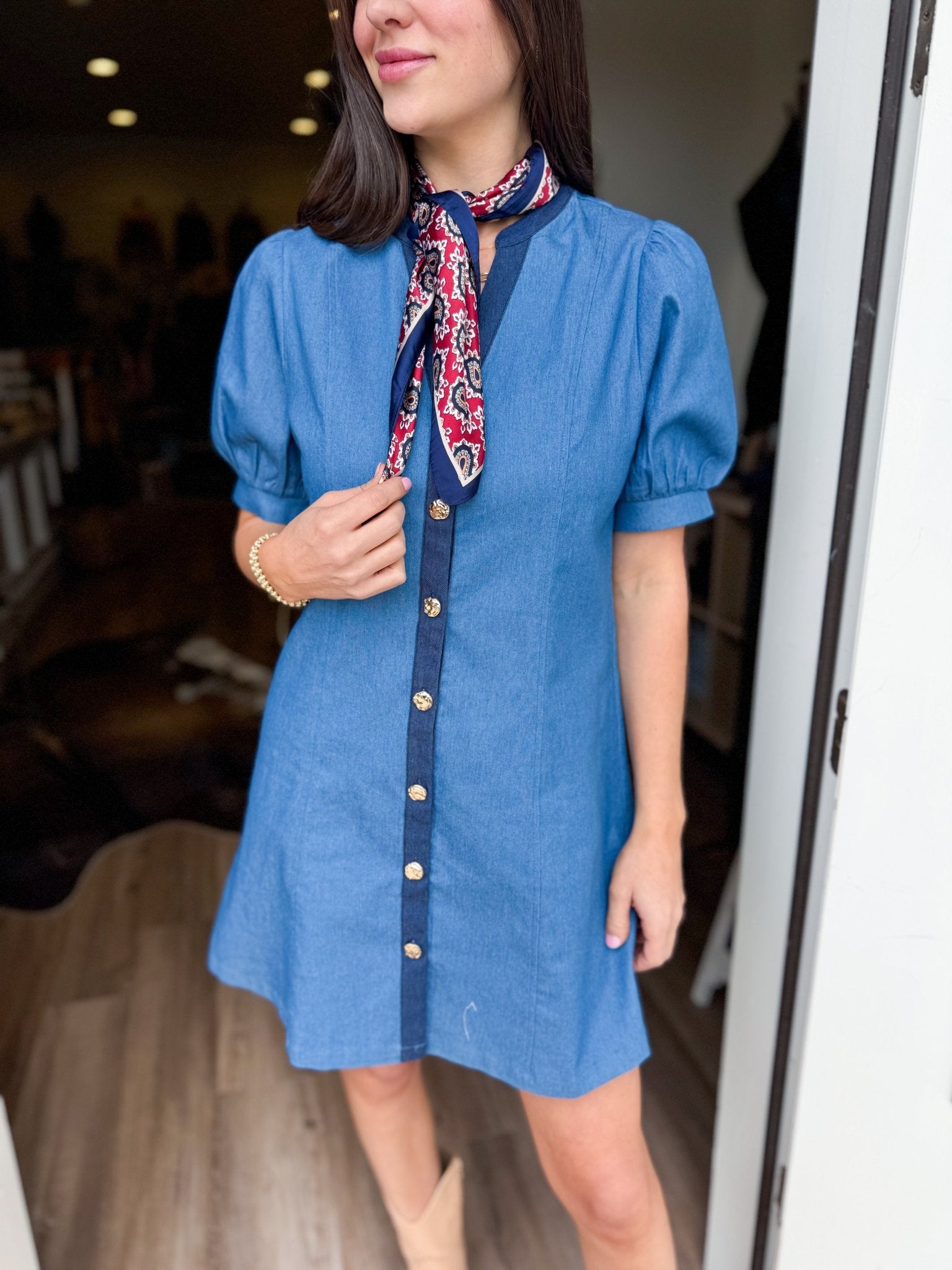 Cassidy Denim Mini Dress - Elk + Elm