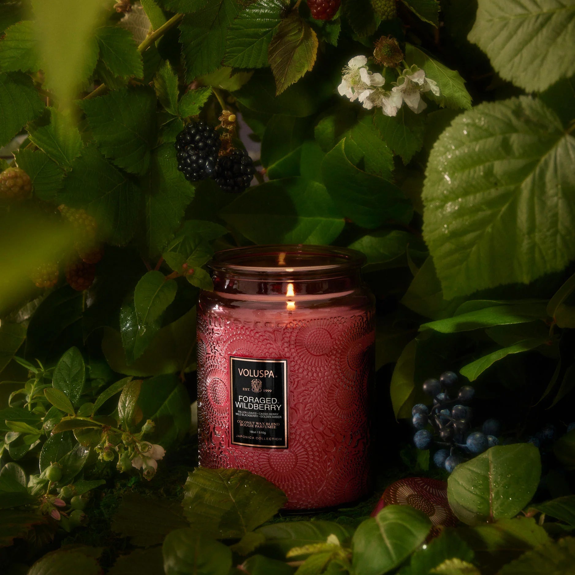 Foraged Wildberry Candle - Elk + Elm